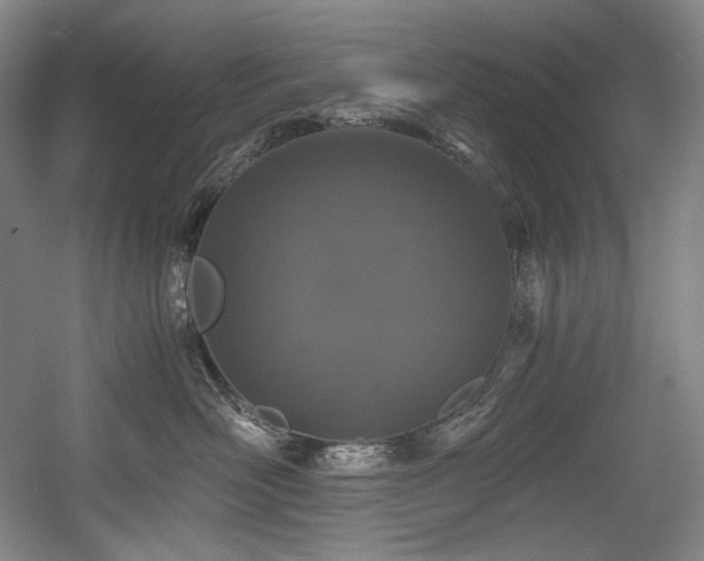 X0000056020526200508191331