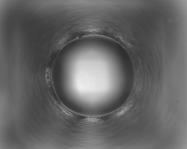 X0000056020528200508191331