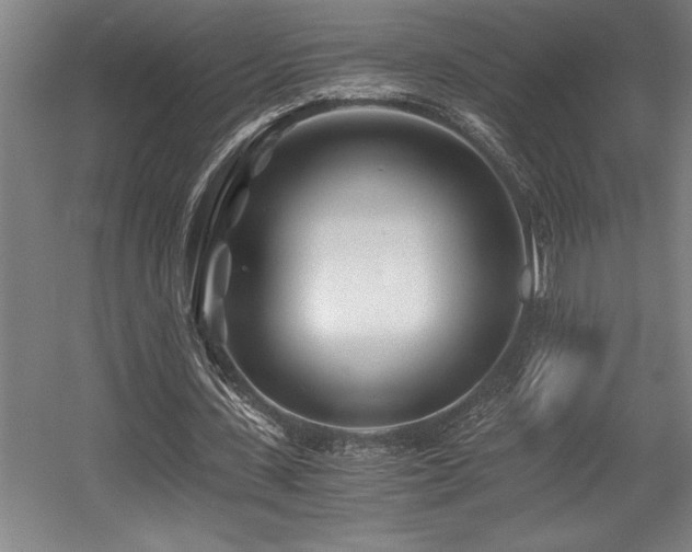 X0000056020531200508191330
