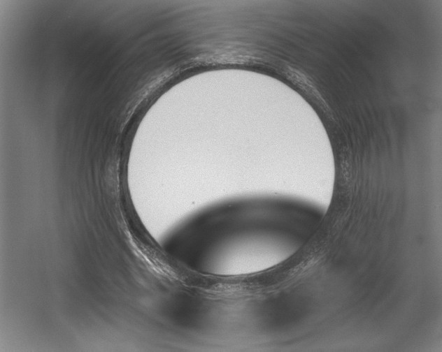 X0000056020534200508191330