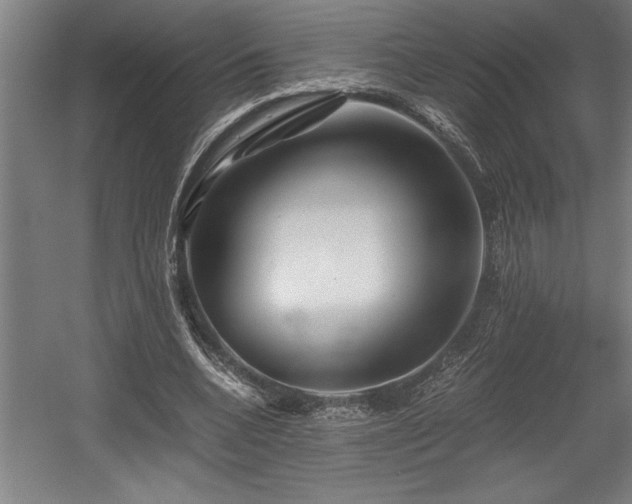 X0000056020536200508191330