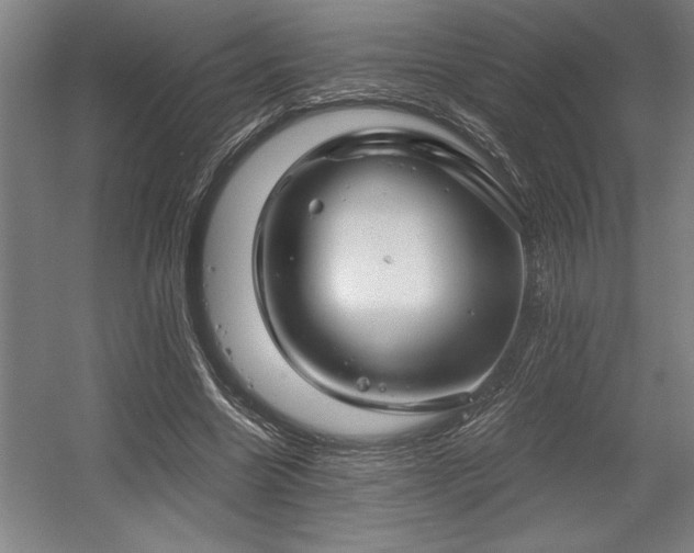 X0000056020538200508191330