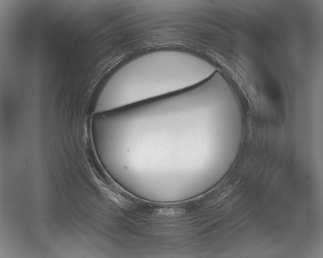 X0000056020541200508191330