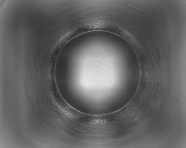 X0000056020543200508191330