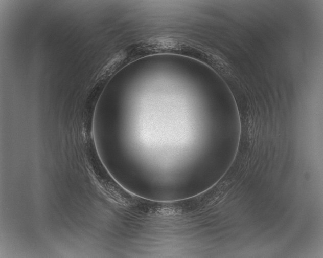 X0000056020546200508191330