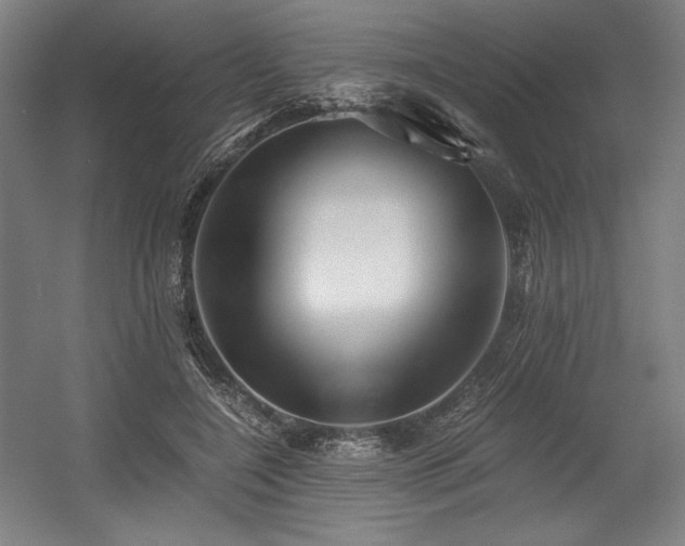 X0000056020548200508191330