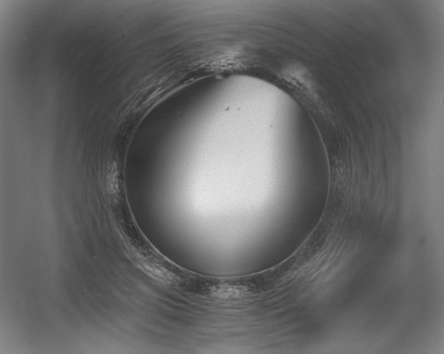 X0000056020549200508191330