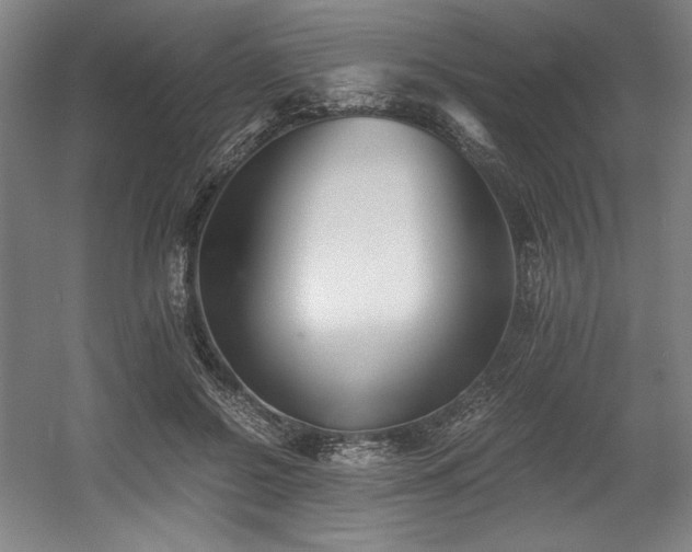 X0000056020550200508191330