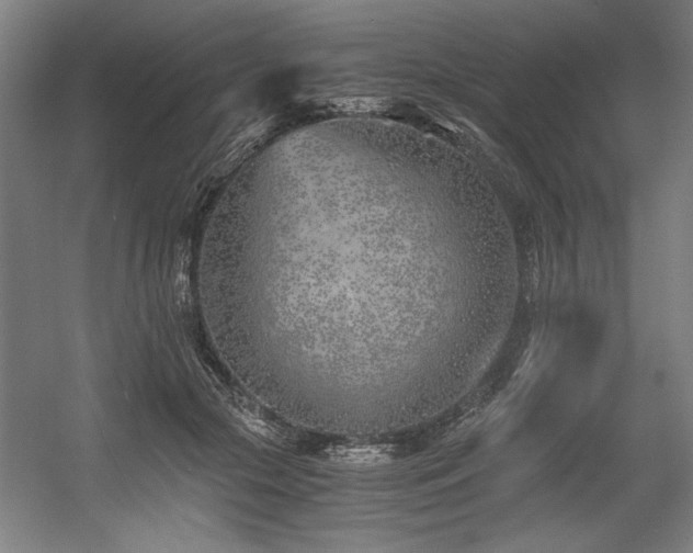 X0000056020553200508191330