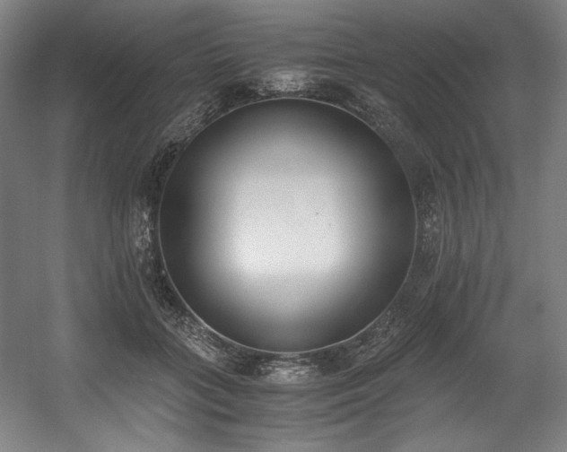 X0000056020555200508191330