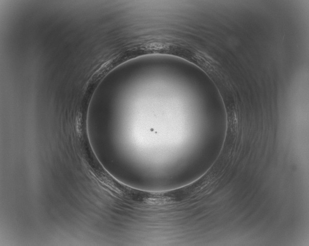 X0000056020556200508191330