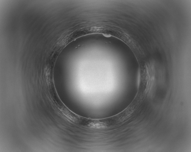 X0000056020557200508191330