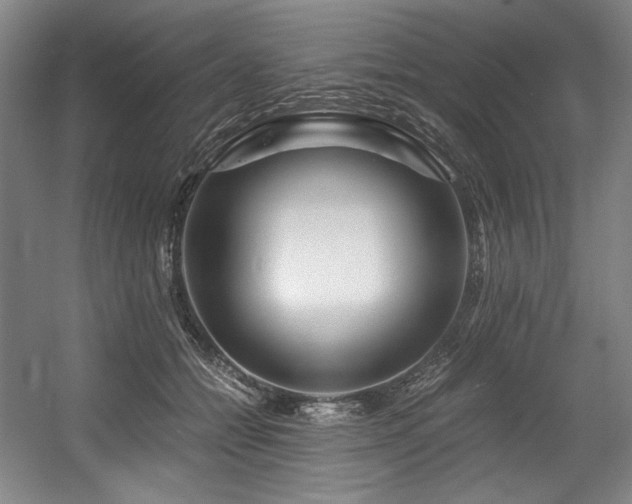 X0000056020558200508191330