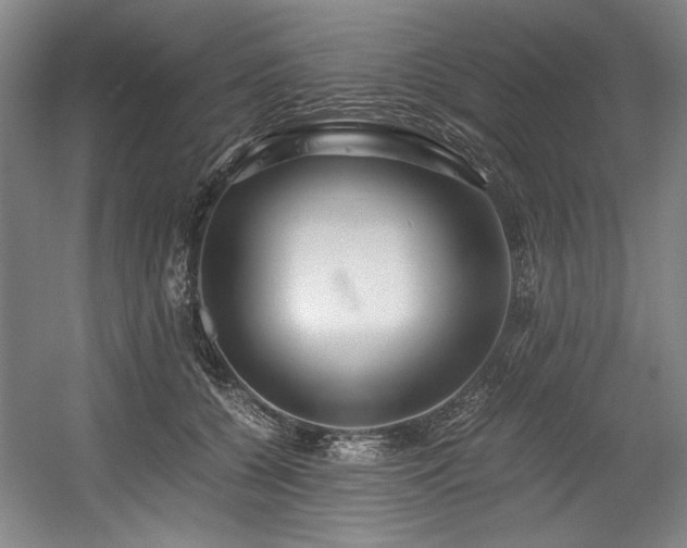 X0000056020560200508191330