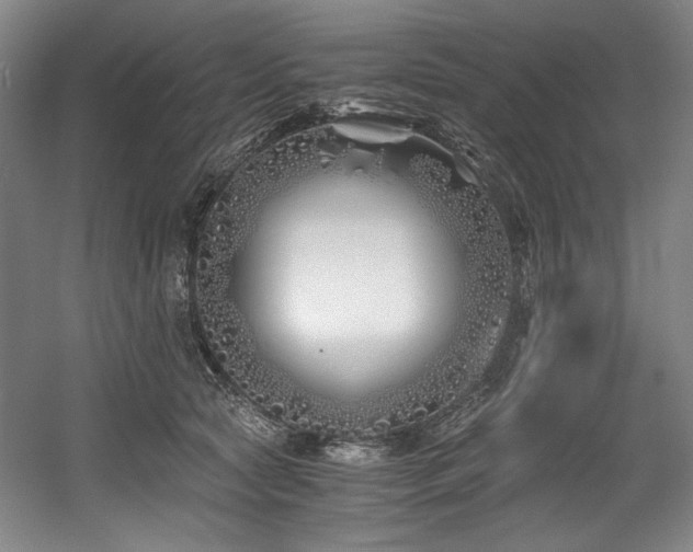 X0000056020561200508191330