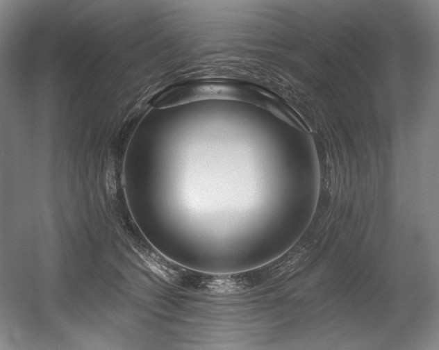 X0000056020562200508191330
