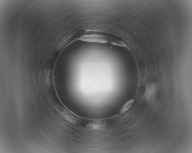 X0000056020563200508191330