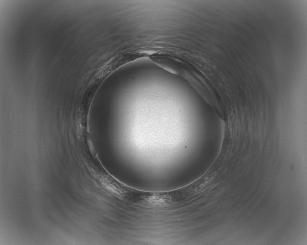 X0000056020566200508191330