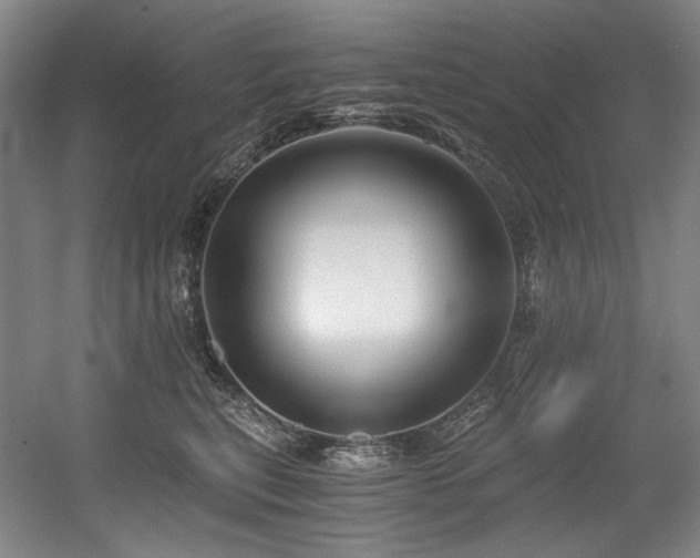 X0000056020567200508191331