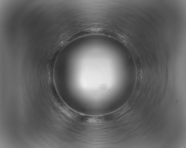 X0000056020568200508191331