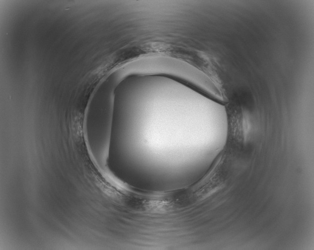 X0000056020570200508191331