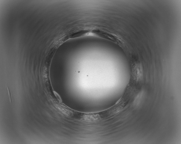 X0000056020571200508191331