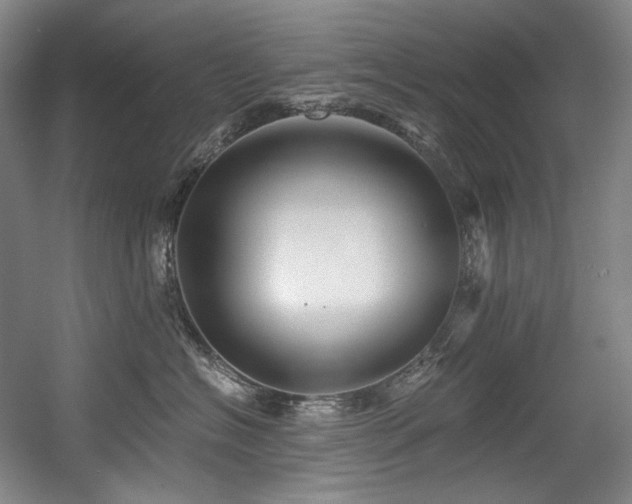 X0000056020574200508191331