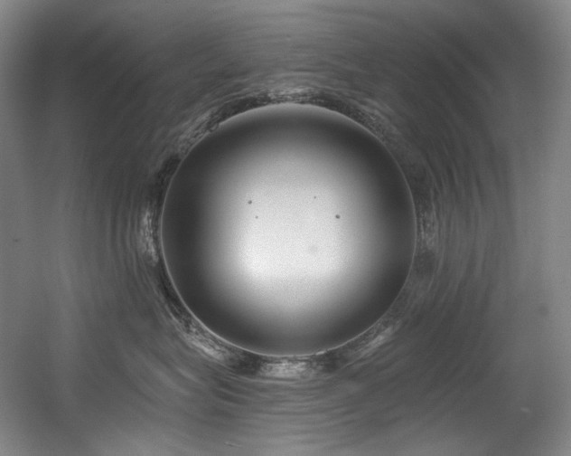 X0000056020575200508191331