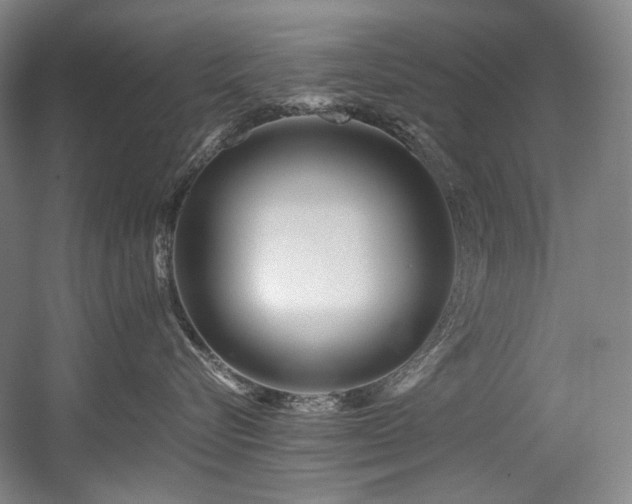 X0000056020576200508191331