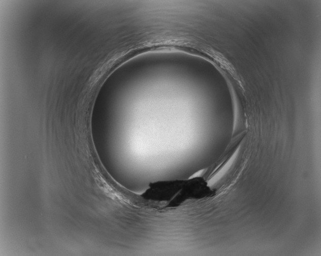 X0000056020577200508191330