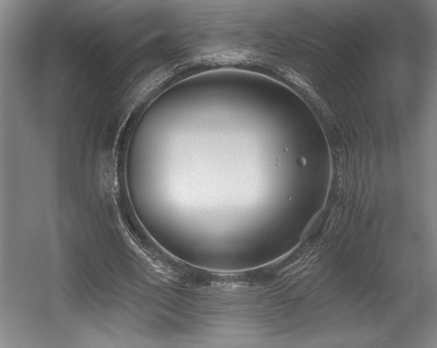 X0000056020582200508191330
