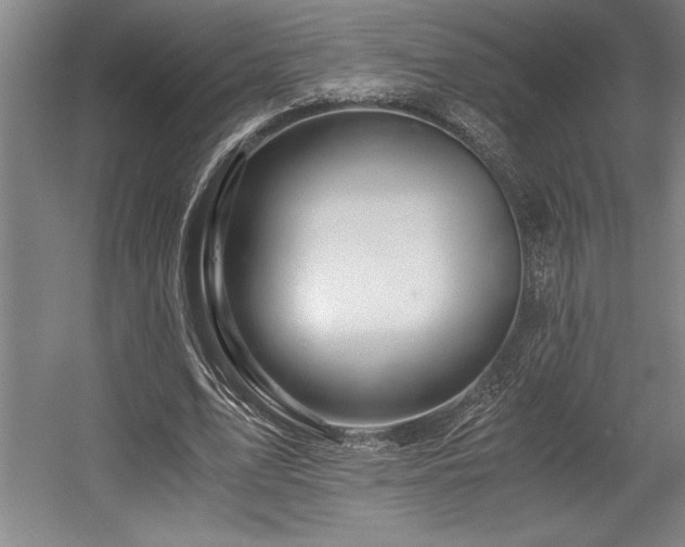 X0000056020583200508191330