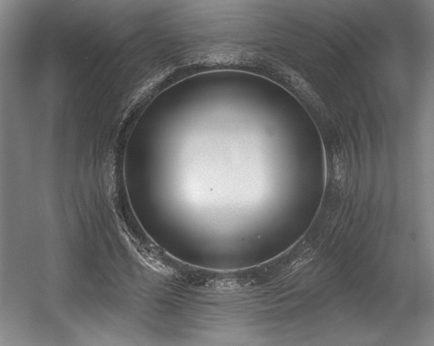 X0000056020588200508191330