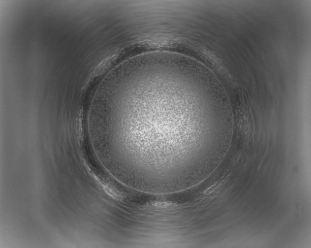 X0000056020590200508191330