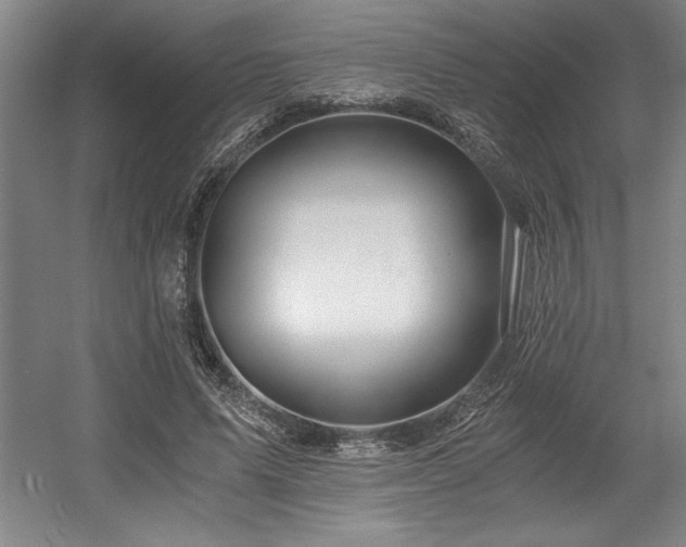 X0000056020591200508191330