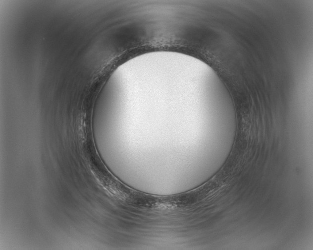 X0000056020592200508191330