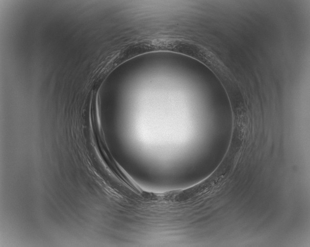 X0000056020593200508191330