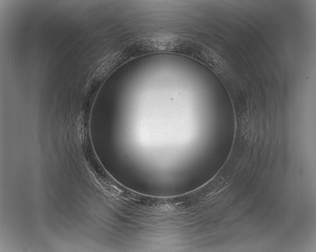 X0000056020594200508191330
