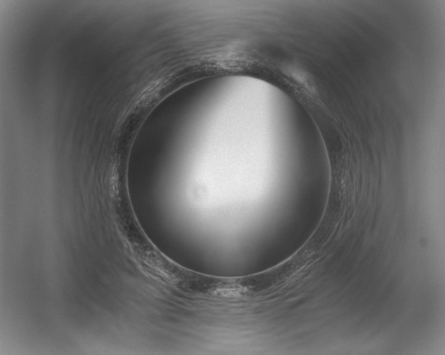 X0000056020595200508191330
