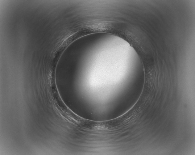 X0000056020596200508191330