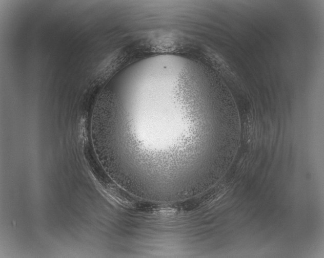 X0000056020598200508191329