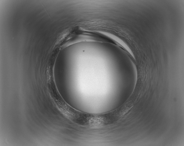 X0000056020599200508191329