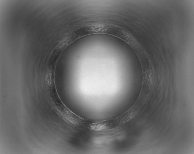 X0000056020602200508191329