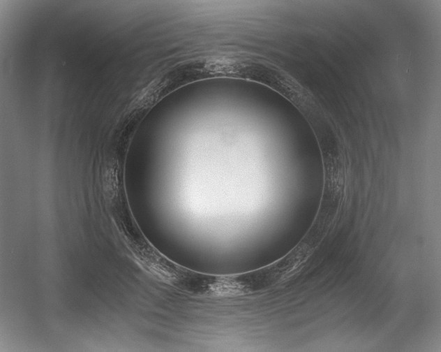 X0000056020603200508191329