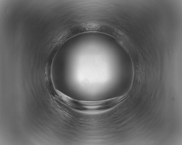 X0000056020604200508191329