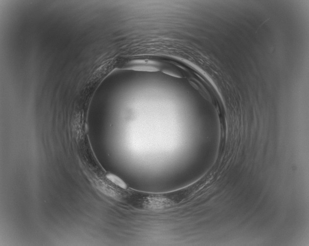 X0000056020605200508191329