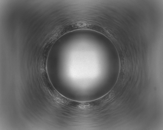 X0000056020606200508191329