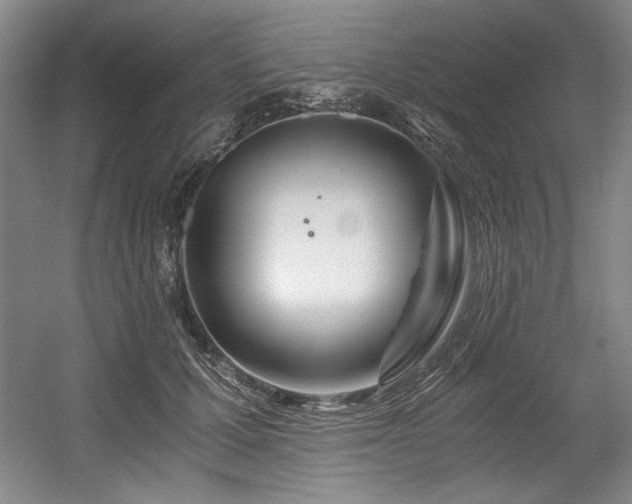X0000056020607200508191329