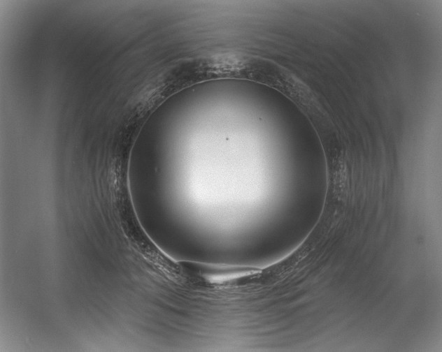 X0000056020608200508191329