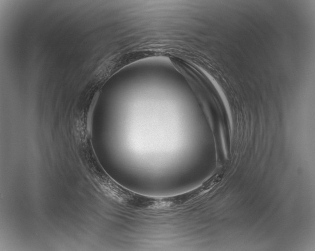 X0000056020609200508191329